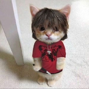 Meet your Posher, Vincent